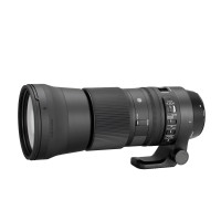 Sigma Telescope lens 150-600mm for wildlife & other photography