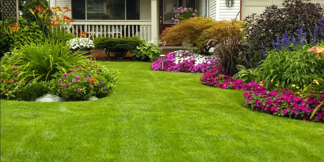 yard work62864742745345126