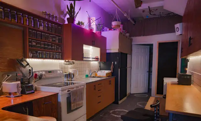 ☾༓⊹ communauté queer cherche colocs ⊹༓☽ in Room Rentals & Roommates in City of Montréal - Image 6