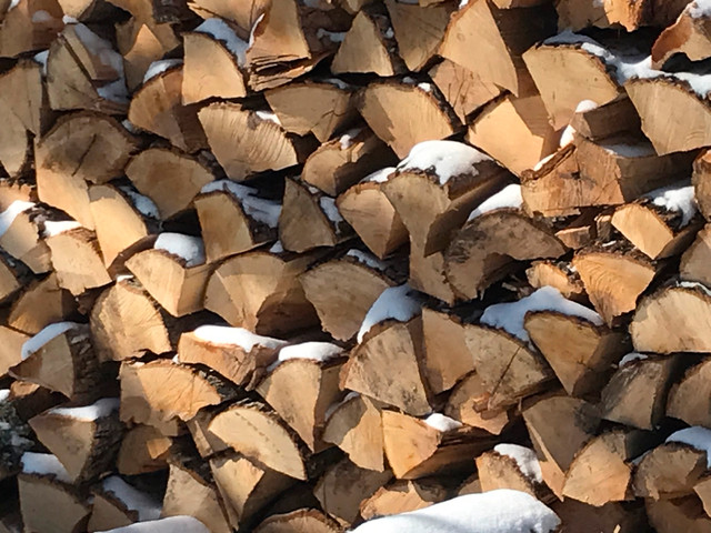 Firewood For Sale in Other in Peterborough