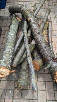 Cherry wood logs