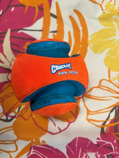 Ballon kick and fetch, View more