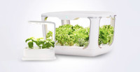 Click & Grow Smart Garden 9 (SG9S1US) - White