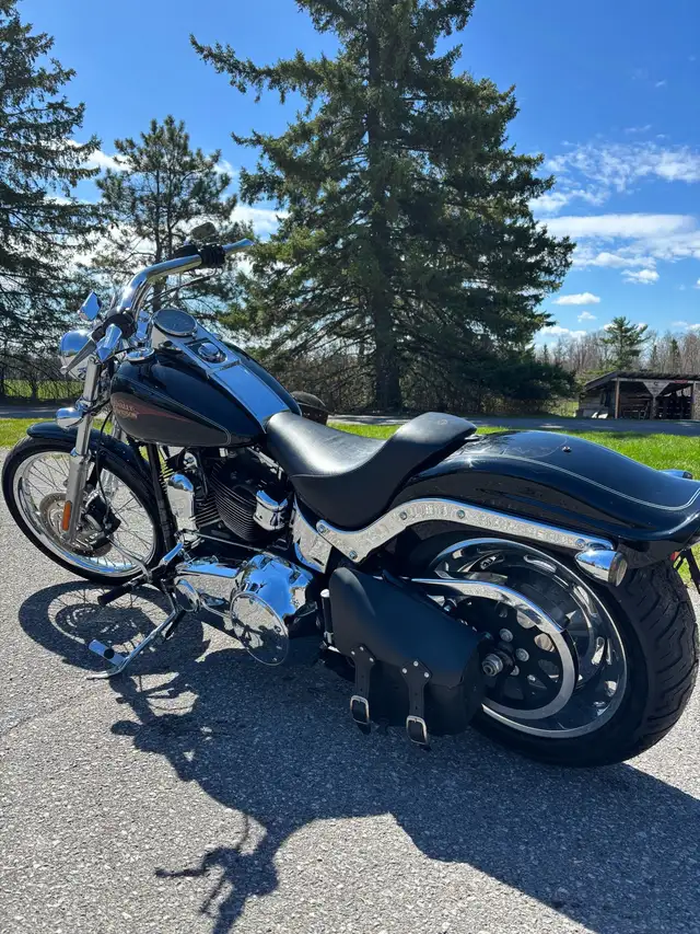 Harley Davidson *low kilometres in Street, Cruisers & Choppers in Ottawa - Image 5
