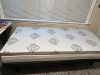 Two Natural Latex Twin XL Beds $2,000