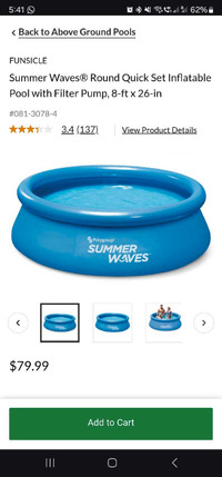 Summer wave 8 feet inflatable pool used 