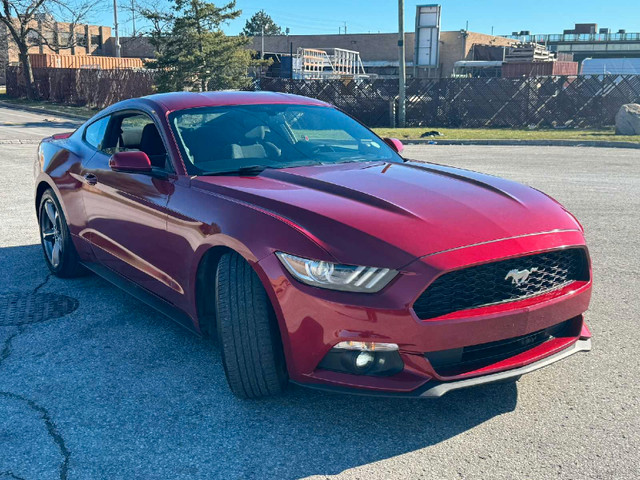 2017 Ford Mustang *No Accident* in Cars & Trucks in Mississauga / Peel Region - Image 3
