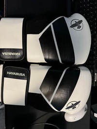 12oz Hayabusa S4 boxing gloves