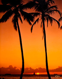 Hawaii, Lahaina, Maui sunsets photo prints 11x14"
