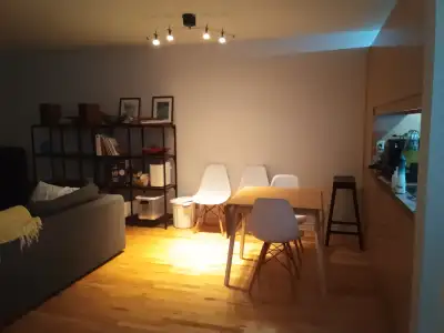 A professional translator (male) looking for a roommate from July 1st (or later). The apartment is l...