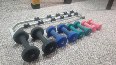 Pairs of 10 lbs, 8 lbs, 5 lbs, and 3 lbs. weights. Exc cond. $50