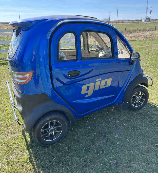 2024 Geo Electric Car in Cars & Trucks in Edmonton