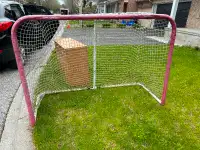 Free hockey net at curbsite