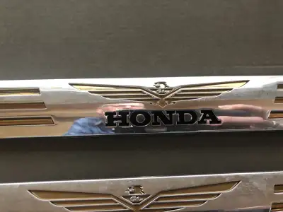 2001 GL1800 ENGINE COVER TRIM GOLD AND CHROME