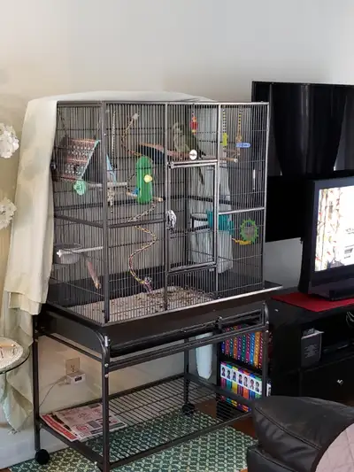 Parrot cage kijiji outlet