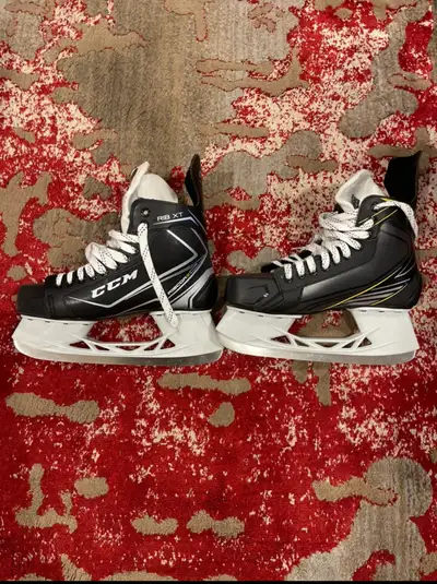 Two pairs of ice skates, View more