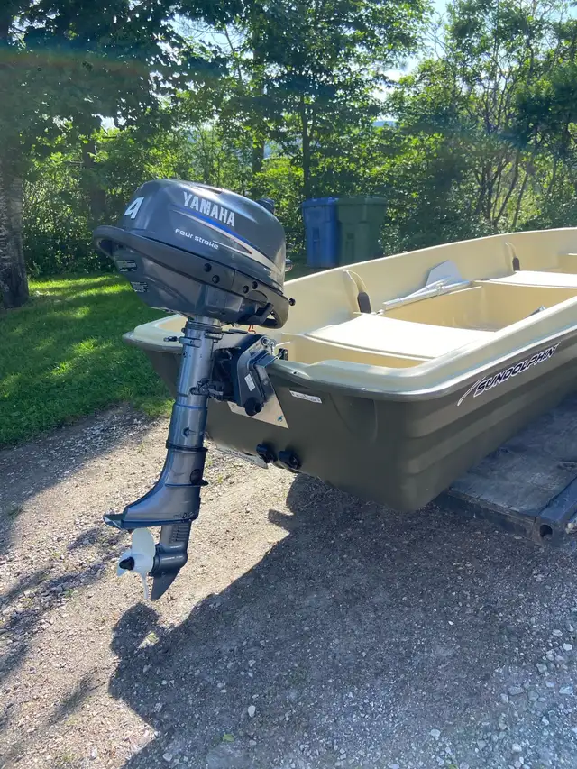bateau de peche in Powerboats & Motorboats in Victoriaville - Image 4