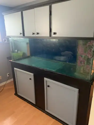 180 Gallon Aquarium , View more