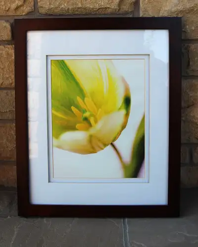 Wood Framed Tulip Wall Art, View more
