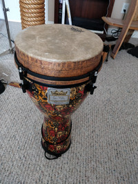 Remo Djembe Leon Mobley