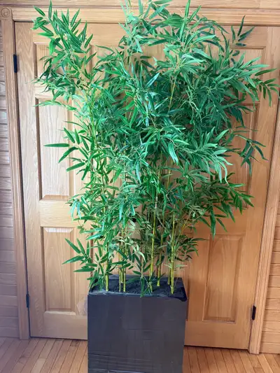 Faux Bamboo Wall Enhancer or Room Divider, View more