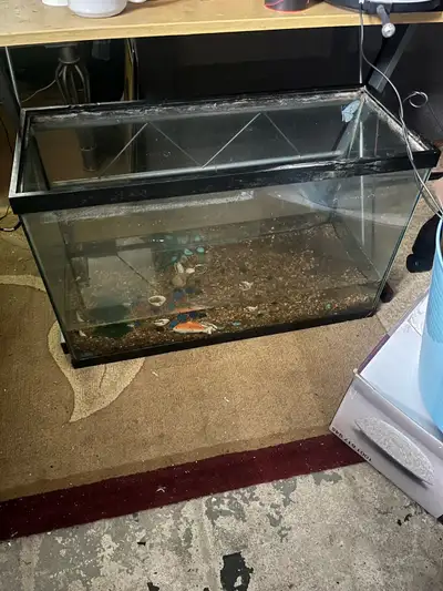 29 gallon aquarium, View more