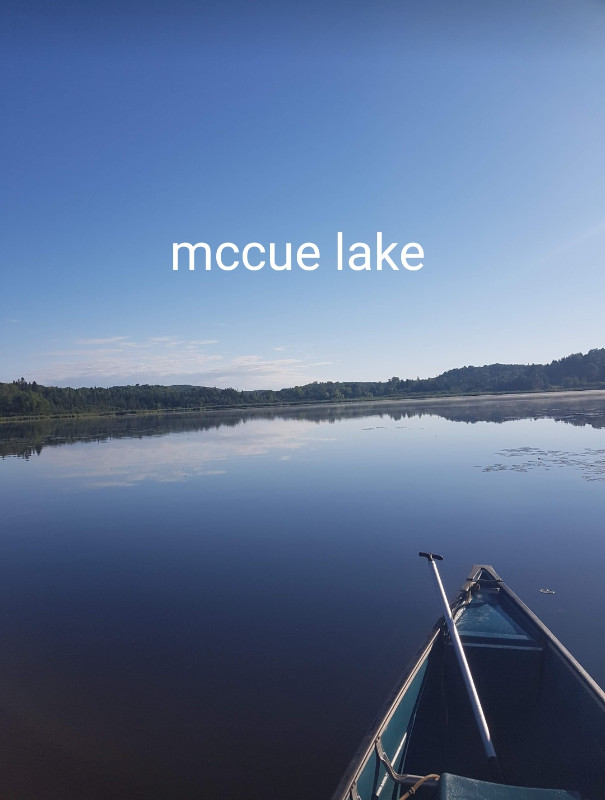 Land for sale highlands east. Land for Sale Muskoka Kijiji