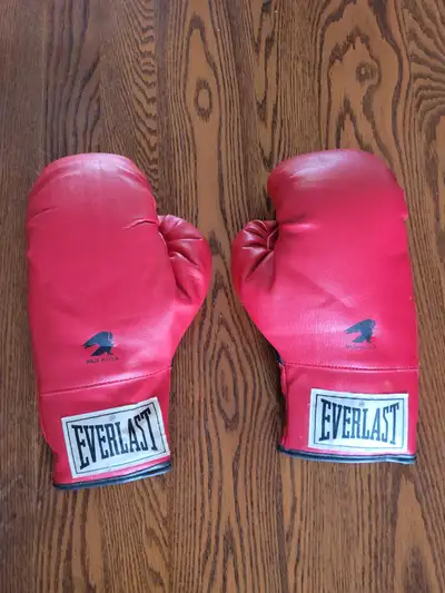 Everlast boxing gloves, View more