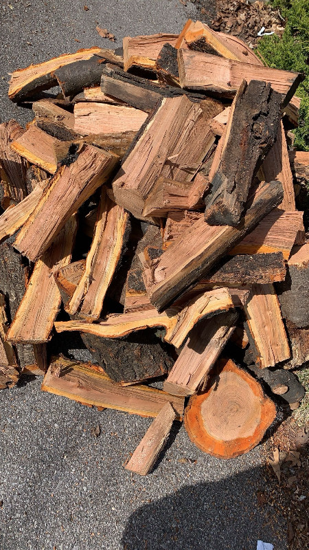 Birch / Sugar Maple / Mulberry / Apple / Cherry in Fireplace & Firewood in City of Toronto - Image 3