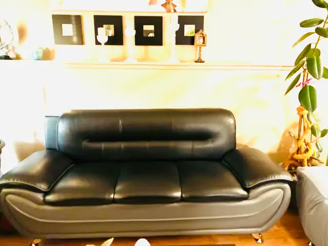 Free Sofa504471705670144000