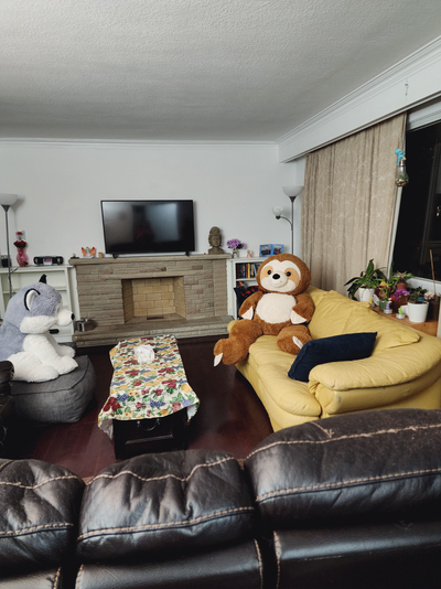 Main Floor Private Room for Rent, View more