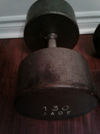 130 pounds single dumbbell for trade or best reasonable offer