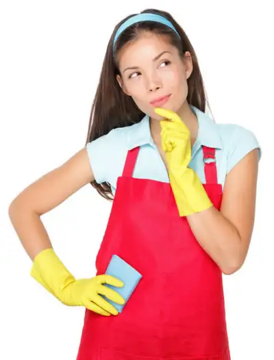 CLEANING LADY MISSISSAUGA BRAMPTON ETOBICOKE 6473951246 Cleaning lady available for the following se...