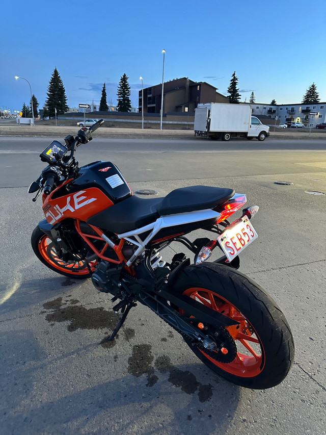 2019 KTM Duke 390 in Sport Bikes in Strathcona County - Image 4