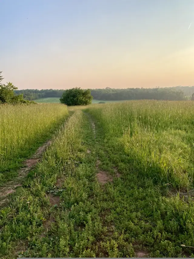 Apartment for rent in Short Term Rentals in Charlottetown - Image 11