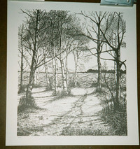 PRINT OF PATH TO THE LAKE