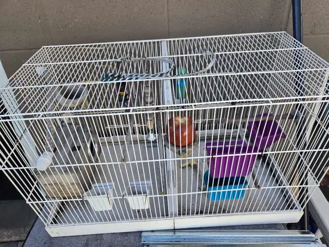 bird cage532565500751390721