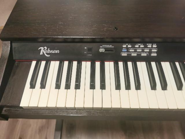 Robson RP6100 Digital Piano 61 Key for beginner in General Electronics in London - Image 3