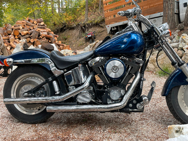 1998 Harley Davidson in Street, Cruisers & Choppers in Kamloops