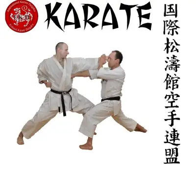Have you ever thought about trying something new and exciting? This is Traditional Shotokan Karate....