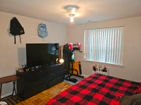 Bedroom available for 1 month in upscale Davisville