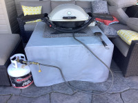 Weber Q220 Barbecue with bag