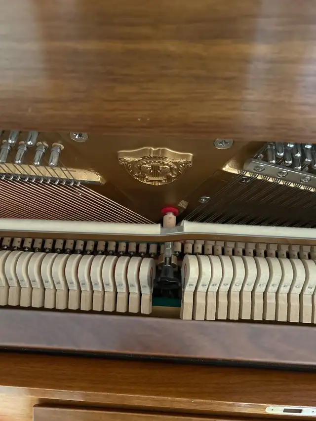Piano, Samick in Pianos & Keyboards in Delta/Surrey/Langley - Image 5