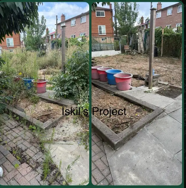 Weed removal, Yard Clean Ups, Tree Cut, Mulching, and Pruning in Snow Removal & Property Maintenance in City of Toronto - Image 4