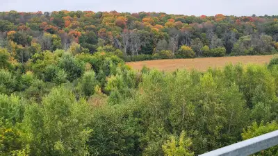 Mois de décembre gratuit Condo à louer situé dans le projet H2O bordé par la rivière du nord Il est...