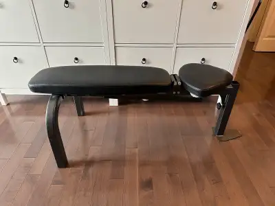 Selling this premium norther lights adjustable in excellent condition, no rip or tear on the leather...