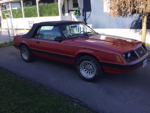 1983 Ford Mustang leather 