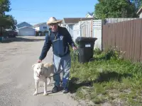 Senior Offering Pet Sitting and Dog Walking