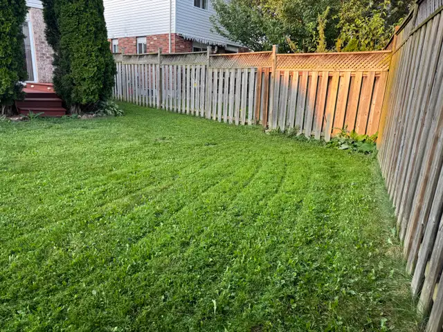 FALL CLEAN UP / SNOW REMOVAL / LAWN CUTTING in Lawn, Tree Maintenance & Eavestrough in London - Image 10