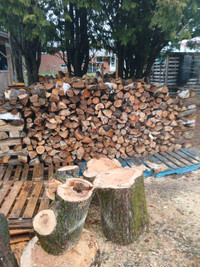 Dry spruce for sale